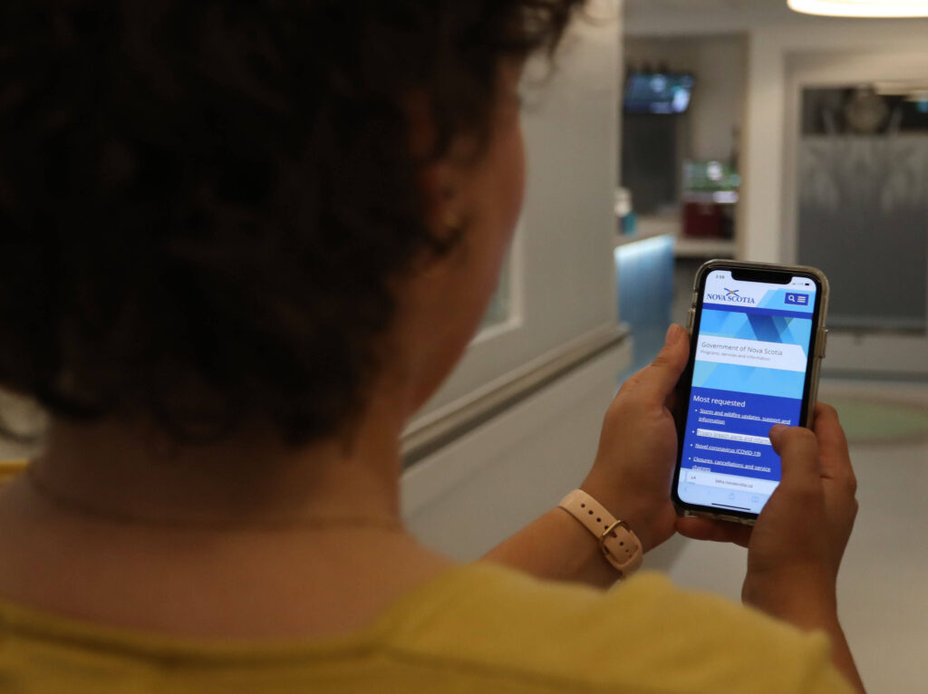 Person using smart phone to access government website